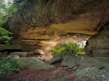 Whites Branch Arch