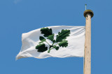 The Castle Flag