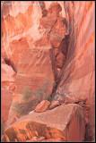 _NBP3596 canyon wf.jpg
