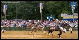 _MG_1362 joust-tip wf.jpg