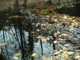 First Dam (furthest upstream)