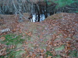 Haul out at edge of drop zone field.JPG