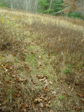 Path leading from haul out spot into the drop zone field.JPG