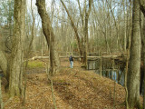 Below 2nd Dam, 7 cut Aspens.JPG