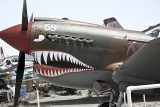 P-40 Nose Art #P40