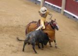 the picador pierces the bull to further weaken him