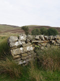 The Leaning Wall of Dolau