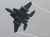 F15E Strike Eagle 6