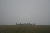 Bryn Cader Faner