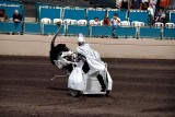 Ostrich races