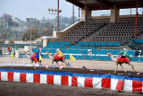 Camel races