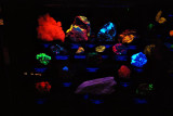 Gems and Minerals under fluorescent light