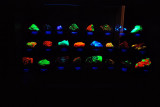 Gems and Minerals under fluorescent light