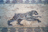 Pafos Archaeological Site Mosaics 37