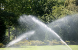 Osborne Garden