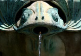 Fish Mouth Fountain Spout