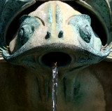 Fish Mouth Fountain Spout