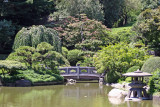 Japanese Garden