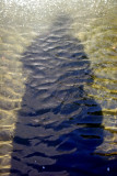 Fountain Pool Shadow