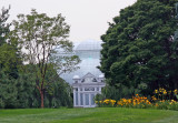 Lilies - Conservatory Gardens