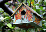 Bird House