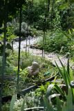 Garden Plot Path