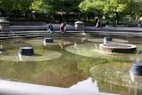 Fountain Pool with NYU Library & Student Center Reflections