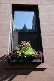 Window Flower Box