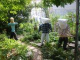 Scarecrows in the Garden