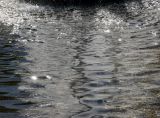 Fountain Pool