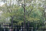 Washington Square Village Playground & Garden