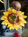 Photographing a Silk Sunflower in an Army/Navy Thriftshop Window
