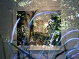 NYU Photo Show - Window View with Park Reflection