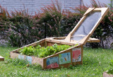 Childrens Gardening Project - NYU School of Education