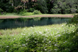 Rainbow Springs State Park