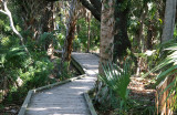 Fort Island Gulf Beach