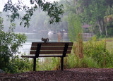 Sunrise - Rainbow Springs State Park