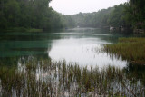 Sunrise - Rainbow Springs State Park