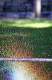 Sprinkler Rainbow