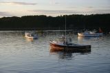 Lobster boats, Bar Harbor, Maine. August 2005