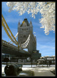 Tower Bridge