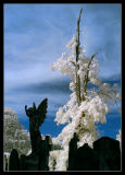 Kensal Green Cemetery,London