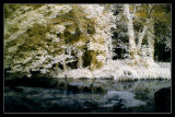 River Coln,Bibury