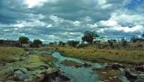 The river through Tarangire, Tanzania