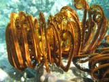 web_IMG_2015.jpg