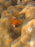 wIMG_1676.jpg