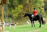 DSCN4692.JPG