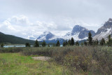 Crowfoot Mountain right, Bow Peak centre, Mount Daly left  -