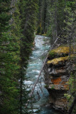 Middle River - Johnston Canyon