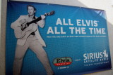 ALL ELVIS, ALL THE TIME